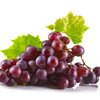 Resveratrol