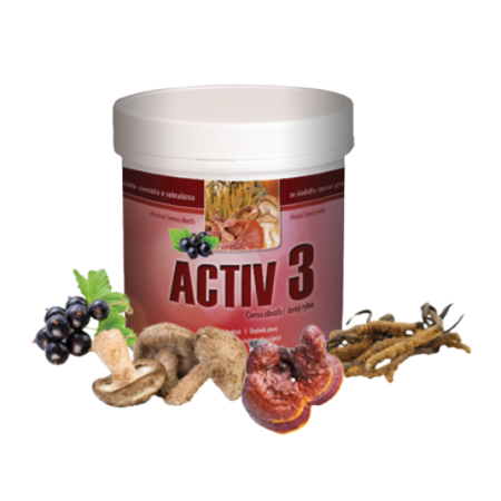 Activ 3 - čierna ríbezľa 230 g