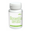 Boswellia serrata 60 vegan kapsúl